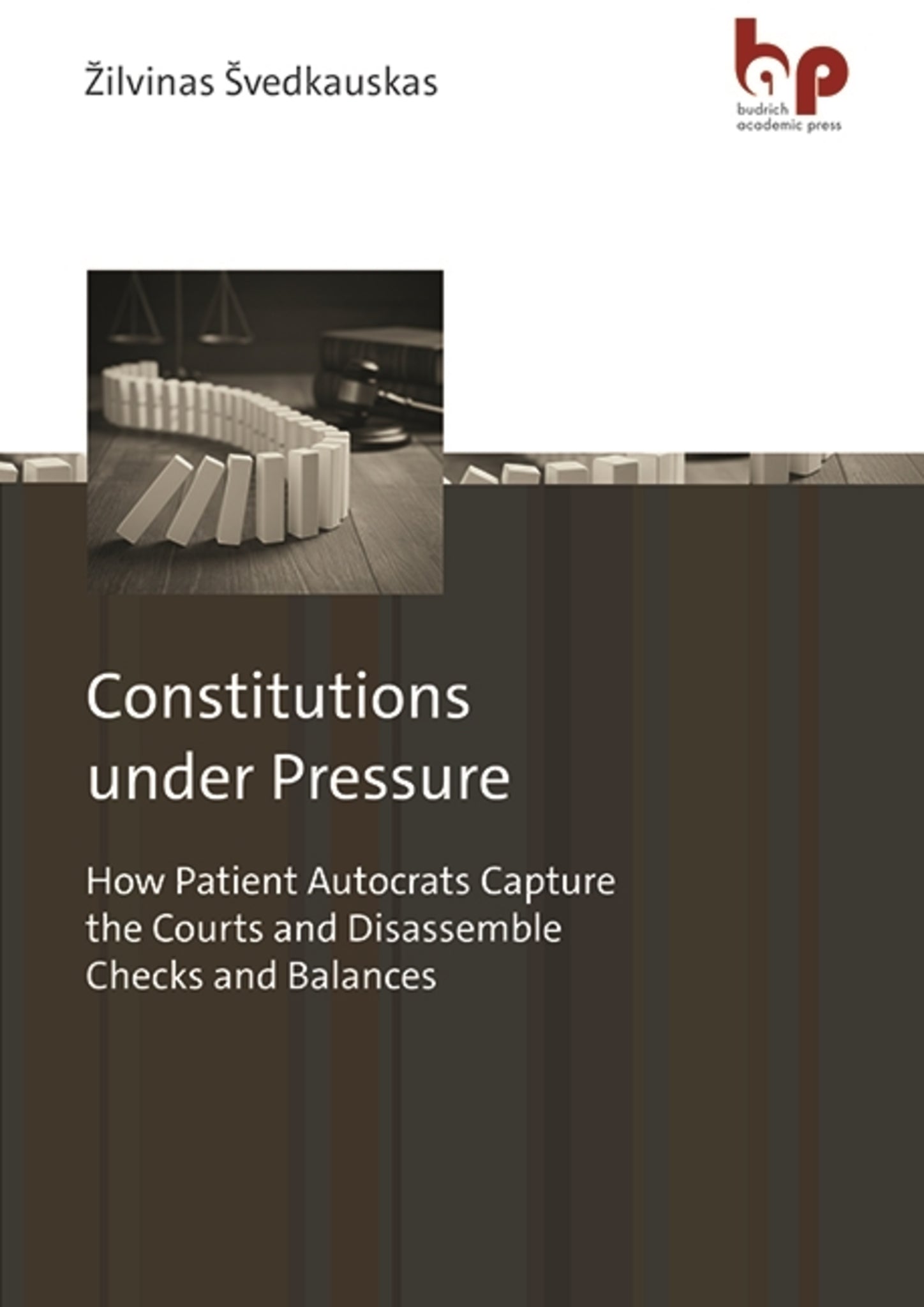 Cover image for Constitutions under Pressure ISBN 9783966651226